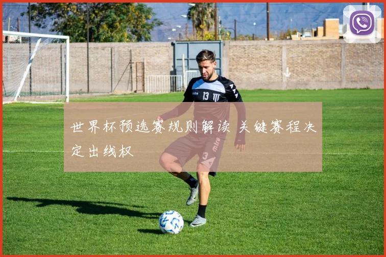 世界杯预选赛规则解读 关键赛程决定出线权