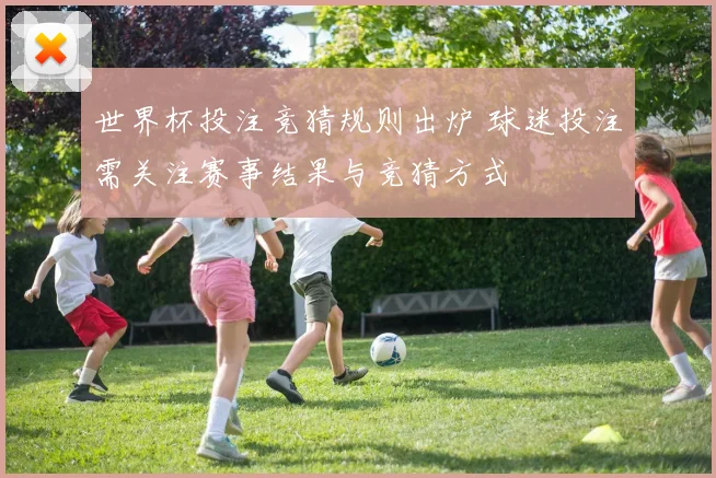 世界杯投注竞猜规则出炉 球迷投注需关注赛事结果与竞猜方式