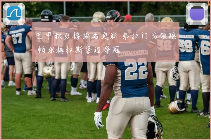 巴甲积分榜排名更新 弗拉门戈领跑 帕尔梅拉斯紧追争冠