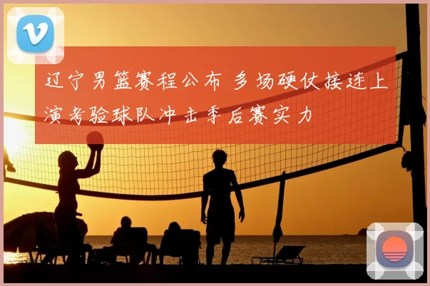 辽宁男篮赛程公布 多场硬仗接连上演考验球队冲击季后赛实力