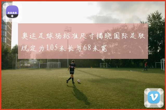 奥运足球场标准尺寸揭晓国际足联规定为105米长与68米宽